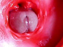 Massive Cock Fills Hole