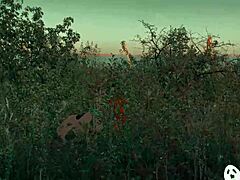 Velma Mystery Solving