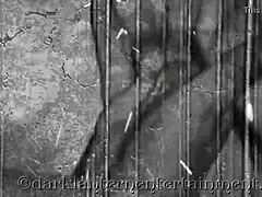 secret life presented