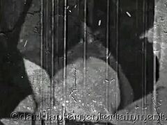 secret life presented