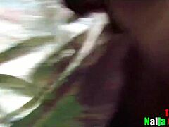 busty cock addiction