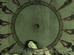 secret life presented