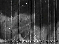 secret life presented