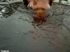 African Tease Splash