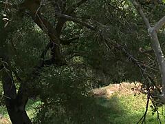 Hot Outdoor Threesome