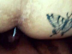 Neighbor Creampie Twice