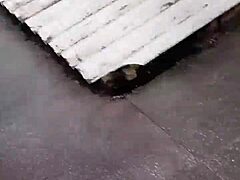 Balcony Blowjob Pussy