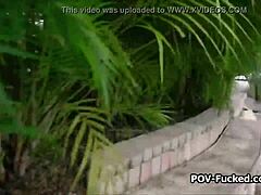 Neighbor Pool Punishment