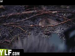 Domination Amazon Cum