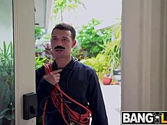 Arietta Pink Pussy Show