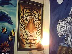 Big Breast Bombshell