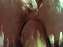 Taboo Hairy Pussy