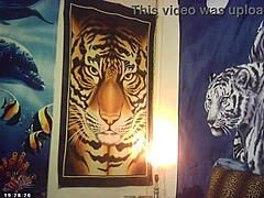 Big Breast Bombshell