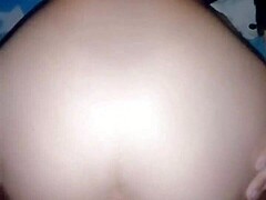 Verga Morning Start!