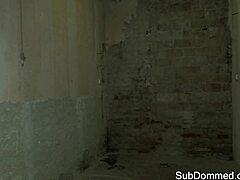 Dominated Oral Session