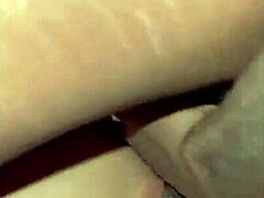 Asian Training Sequel