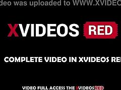 Violated by Stranger