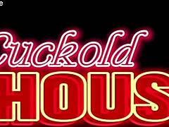 Chubby Sucks Two Cocks