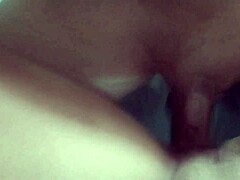 Cougars Intense Pounding