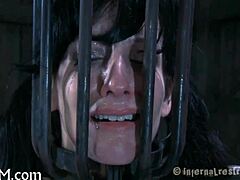 Intense Whipping Session