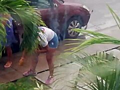 Incredible Neighbor Shorts