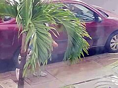 Incredible Neighbor Shorts