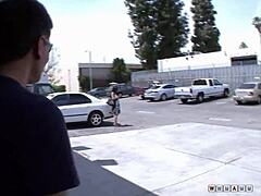 Thrilled Cougar Encounter