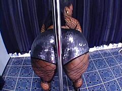 Big Butt Strippers