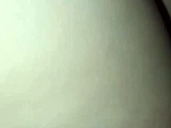 Flash Tits Belly?