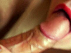 Detailed Blowjob Closeup