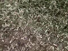 Real amateur fucking?