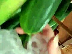 Pussy Flash in Supermarket