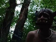 Ponygirl forest bondage