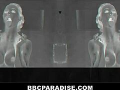 Housewife Fucks Black Dude