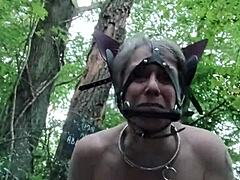 Ponygirl forest bondage