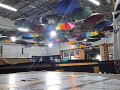 Taking Hard Pounding