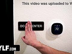 Punishment Submission Lesson