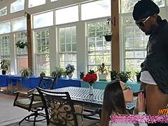 Pawg Neighbors Threesome