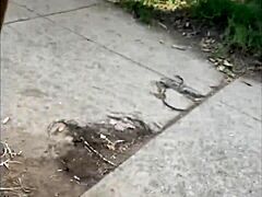 Black Prostitute Shows Body