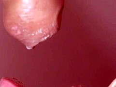 Wife Swallows Cum