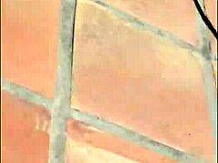 צילומי ליז אשלי