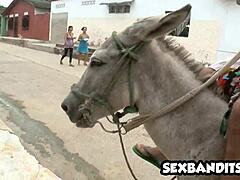 Huge Booty Latina 🍑