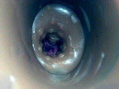 Internal Camera View