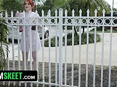 Bracefaced Ginger Bush