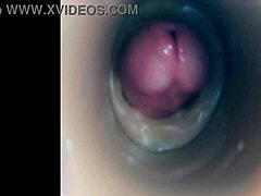 Internal Camera View