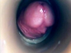 Internal Camera View