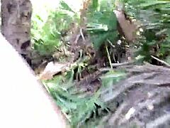 Clitlicker Outdoor Orgasm