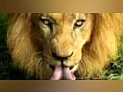 Best Oral Techniques