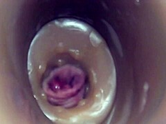 Vista Interna de Cámara