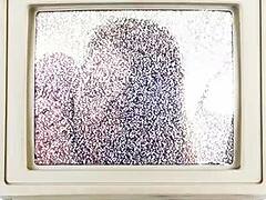 Jasmine Rose bush blasted